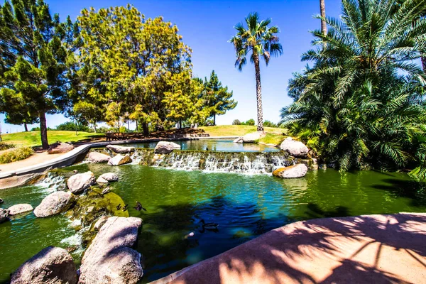 Estanque Parque Con Cascadas Aves —  Fotos de Stock