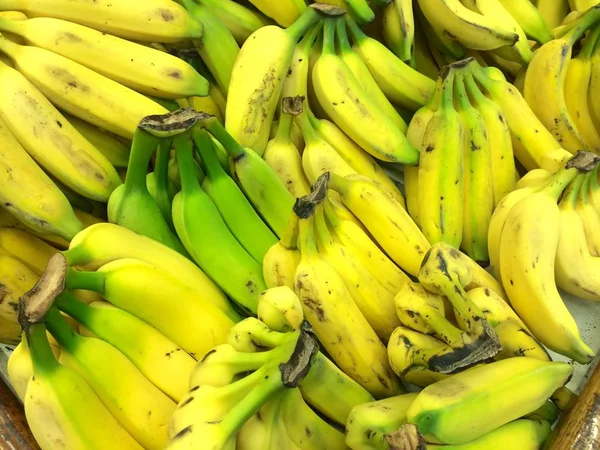 Many banana bunches — Stock Photo, Image