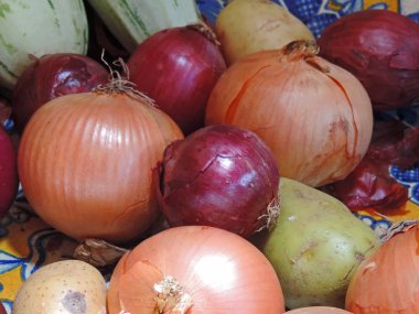 Soğan ve diğer sebzeler