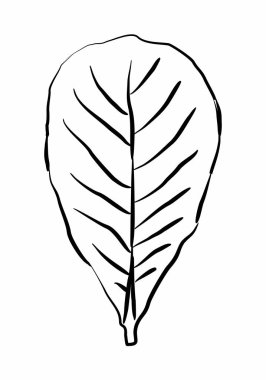 Yaprak el yazması biçimi illüstrasyonu.