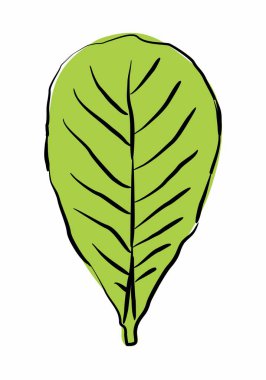 Yaprak el yazması biçimi illüstrasyonu.