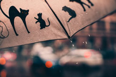 O ve yağıyor: şemsiye düşen yağmur damlaları