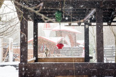 Şiddetli kar yağışı semaver ve kırmızı pot ile geleneksel Rus sundurma