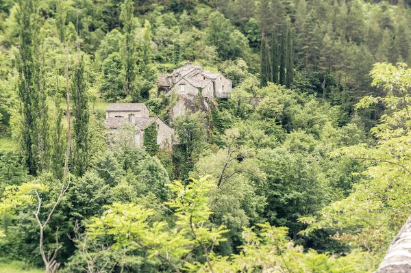 Stone houses deep in the forest of the Tarn gorge