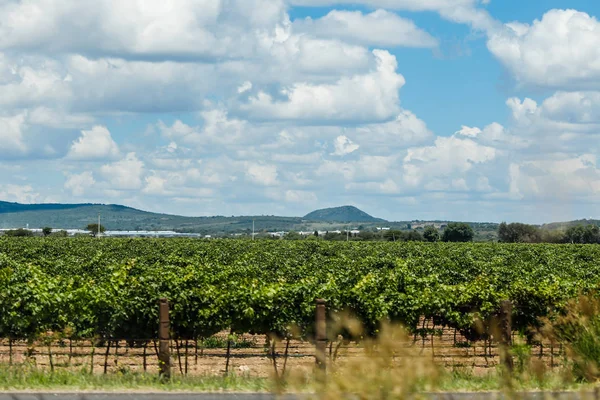 Los campos cerca de Querétaro, México —  Fotos de Stock