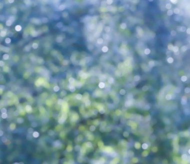 Odaklanmamış ağaçlar soyut doku