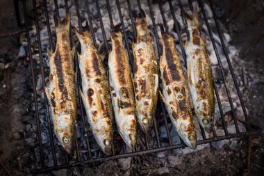 Izgara kefal balıkları 