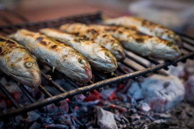 Izgara kefal balıkları 