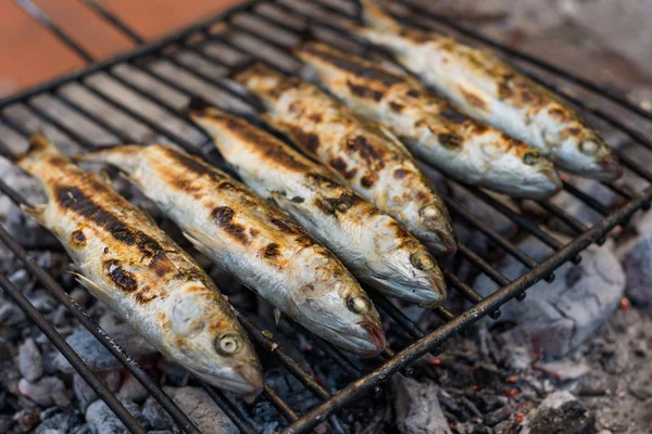 Gegrilde mul vissen — Stockfoto