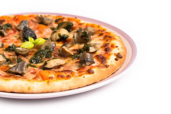 Italian mushroom pizza — Stock Photo, Image