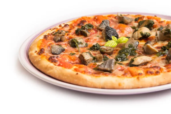 Italian mushroom pizza — Stock Photo, Image