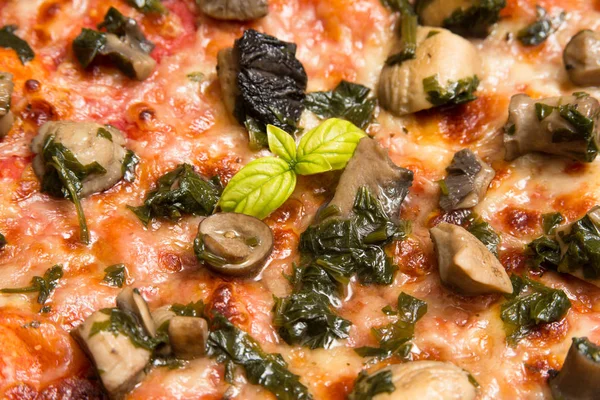 Italian mushroom pizza — Stock Photo, Image