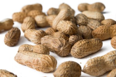 Beyaz üzerine izole edilmiş fıstıklar