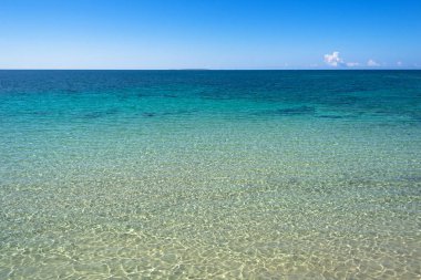 S'anea scoada deniz, Oristano, Sardunya