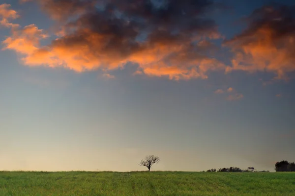 Zonsondergang platteland Sardinië — Stockfoto