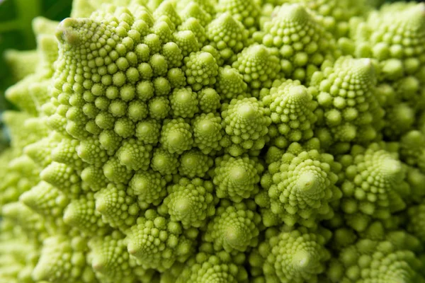 Fresh Roman Romanesque Cauliflower — Stock Photo, Image