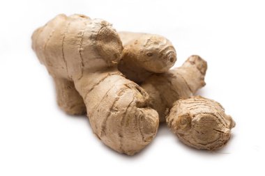 taze zencefil kökü