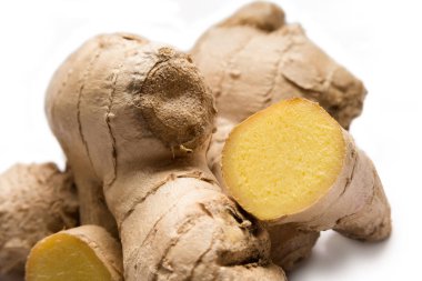 taze zencefil kökü