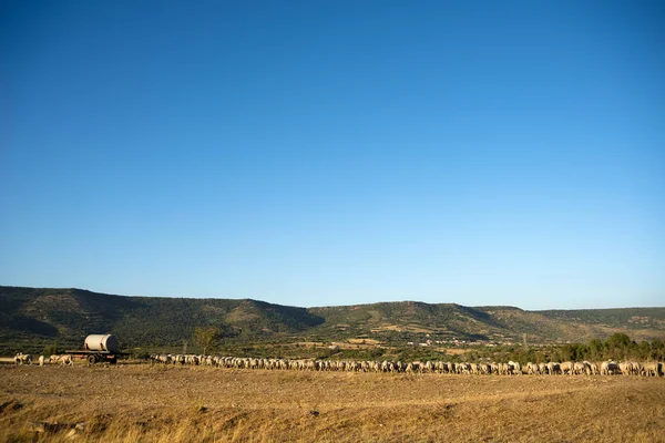 Marmilla Paisagem Rural Sardenha Itália — Fotografia de Stock