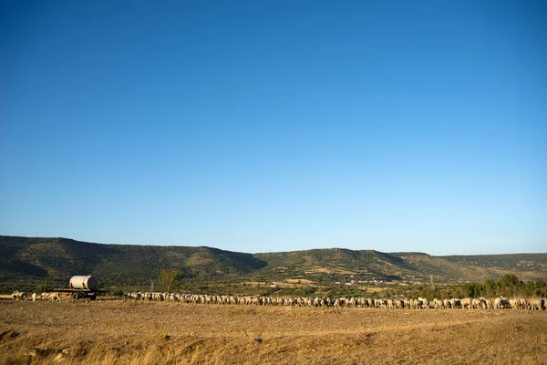 Marmilla Paesaggio Rurale Sardegna Italia — Foto Stock