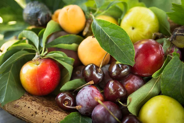 Karışık meyve sepeti