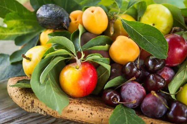 Mixed Fruits basket — Stock Photo, Image