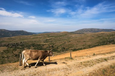 Barbagia peyzaj, Sardunya