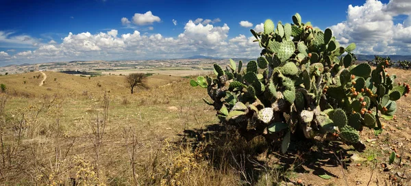 Paysage du sud de la Sardaigne — Photo