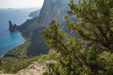 Sardunya, Baunei Coast