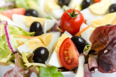 Karışık sebze ve haşlanmış yumurta taze salata