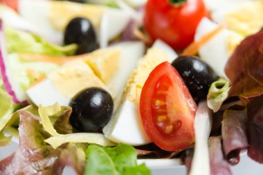 Karışık sebze ve haşlanmış yumurta taze salata