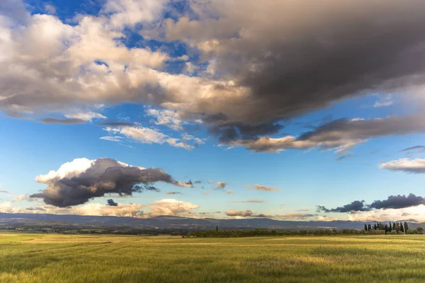 Paisagem Campo Trigo Sul Sardenha Itália — Fotografia de Stock