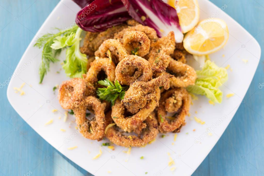 Dish of fried squid rings, Mediterranean Food 