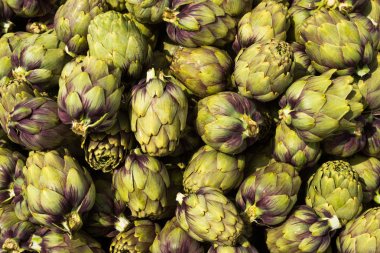 Taze Sardunyalı mor enginar 