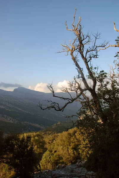 Beautiful View Landscape Italy Europe — 图库照片