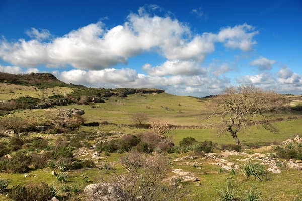 Prachtig Uitzicht Landschap Italië Europa — Stockfoto