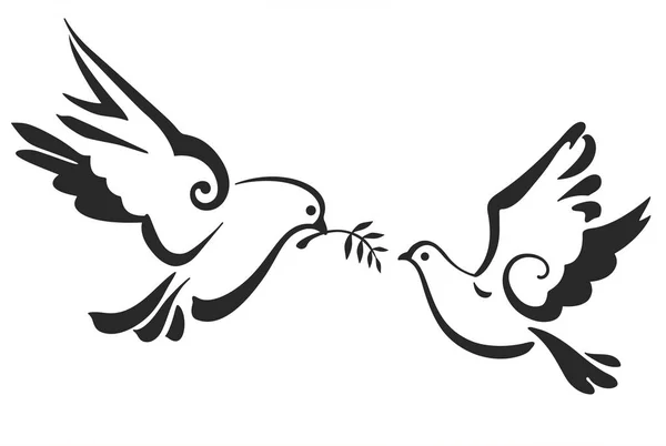Vektor Tauben isoliert auf weiß. Friedenstaube mit Olivenzweig — Stockvektor
