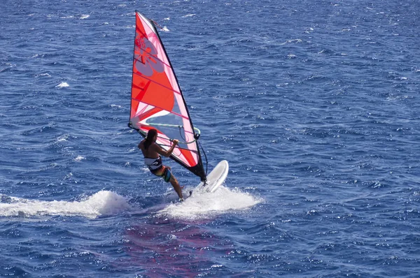 the windsurfer on the board under sail moves at a speed along the surface of the sea
