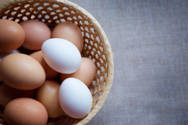 Bej ve beyaz kabuklu iki türün taze yumurtaları. Kırsal yaşam.