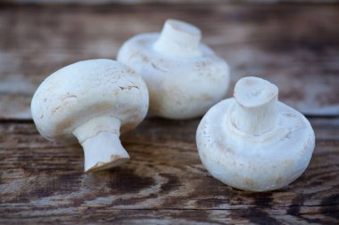 Masanın ahşap yüzeyinde yatan üç mantar beyaz mantar. Yemek pişirmek için malzemeler ve çiğ yiyecekler..