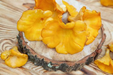 Chanterelle mantarları sokaktaki tahta bir kütüğün yüzeyinde yatıyor..