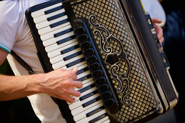 Acordeón Instrumento Musical Manos Músico Masculino Concepto Cultura Arte — Foto de Stock