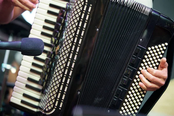 Musikinstrument Akkordeon Den Händen Eines Männlichen Musikers Das Konzept Von — Stockfoto