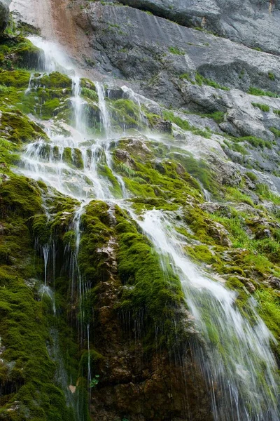 Mountain waterfall with clean water falls from a small height. Around green grass.
