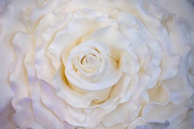 Tatil için dekoratif olarak plastik malzemeden yapılmış büyük beyaz bir gül çiçeği..