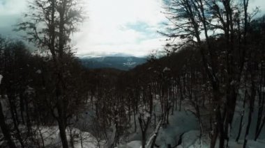 karlı yamaçlarda çıplak ağaçlar