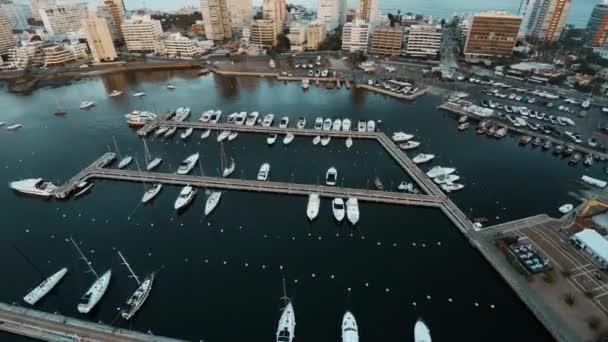 Vista aérea de barcos atracados en puerto deportivo cerca de centros turísticos — Vídeo de stock