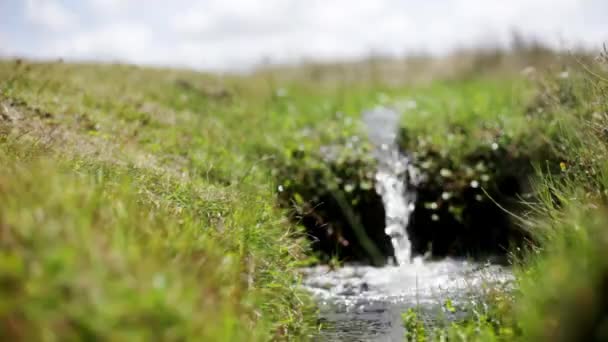 Small stream flowing over grass — Stock Video