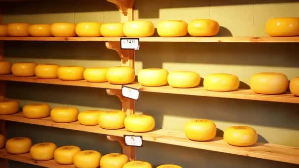 Wheels of Dutch cheese — Stock Video