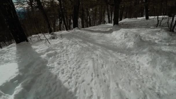 Sentiero innevato attraverso i boschi — Video Stock